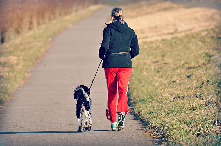 walking-dog-fitness